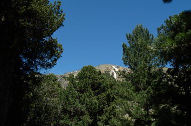 dağlar ve yeşillikler ile mavi gökyüzü görünümü 