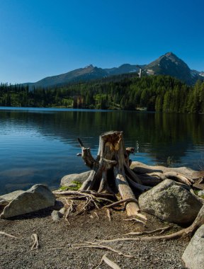 dağlık manzara içinde göl kıyısında ağaç kütüğü
