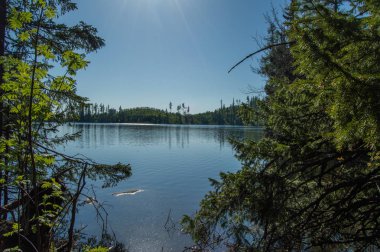 ısmarlayarak yeşil ağaçlar ve berrak gökyüzü göl