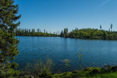 ısmarlayarak yeşil ağaçlar ve berrak gökyüzü göl
