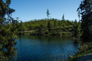 ısmarlayarak yeşil ağaçlar ve berrak gökyüzü göl