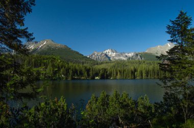 çam ağaçları ile dağlık manzara göl güneş ışıklı