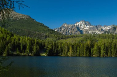 çam ağaçları ile dağlık manzara göl güneş ışıklı