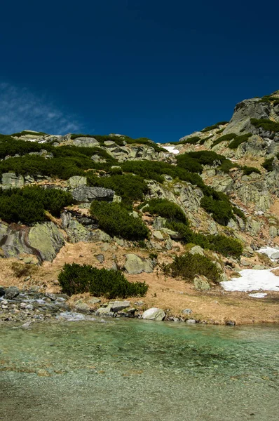 Lugna Mountain River Med Räfflad Yta Och Snötäckta Stenar — Stockfoto