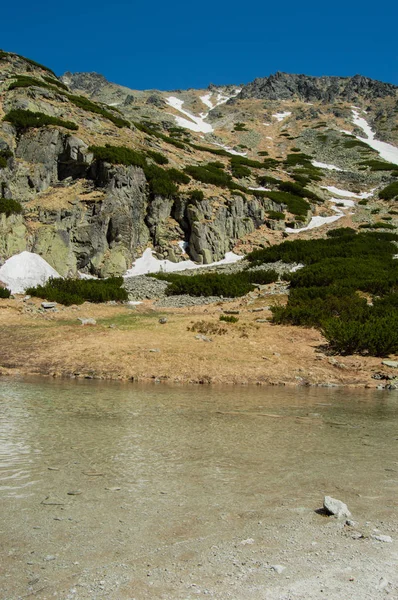 Spokojnej Górskiej Rzeki Falistego Powierzchni Snowcapped Skały — Zdjęcie stockowe