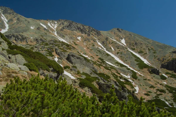 Vista Panorâmica Das Montanhas Com Vegetação Exuberante Céu Azul — Fotografia de Stock