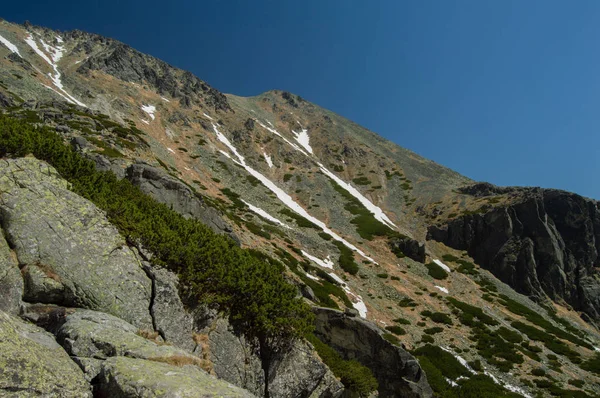 Vista Panorámica Las Montañas Con Exuberante Vegetación Cielo Azul —  Fotos de Stock