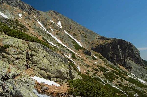 Vue Panoramique Sur Les Montagnes Avec Verdure Luxuriante Ciel Bleu — Photo