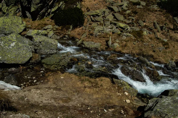 Flujo Río Montañoso Rocoso Luz Del Sol Brillante —  Fotos de Stock