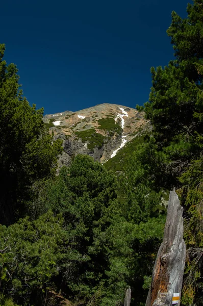 Vista Las Montañas Cielo Azul Través Exuberante Vegetación —  Fotos de Stock