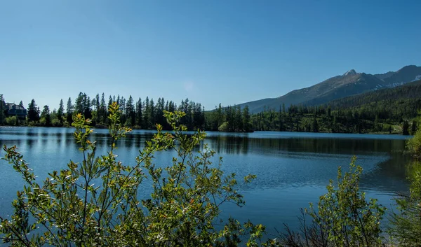 Vista Del Lago Las Montañas Con Vegetación Primer Plano — Foto de Stock