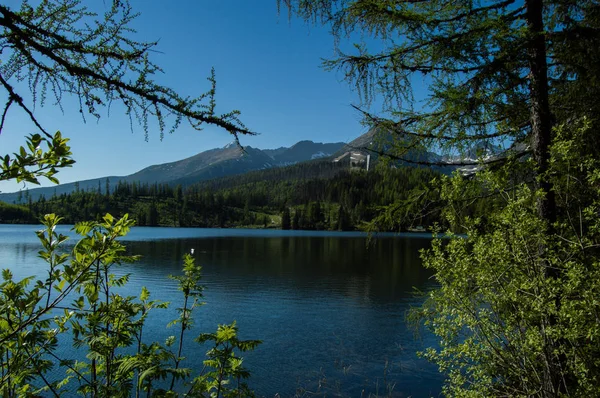 Vista Del Lago Las Montañas Con Vegetación Primer Plano —  Fotos de Stock