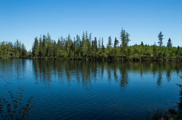 Vista Pitoresca Lago Com Árvores Verdes Céu Claro — Fotografia de Stock