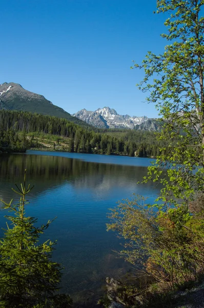 Lac Soare Peisaj Muntos Luminat Pini — Fotografie, imagine de stoc