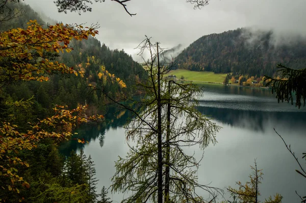 Вид Гірське Озеро Через Сосни — стокове фото