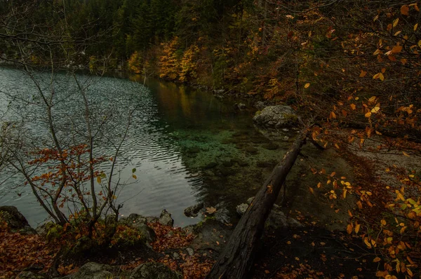 Vue Lac Montagneux Travers Les Arbres — Photo