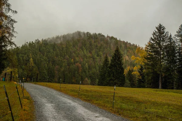 Slábnoucí Perspektivní Pohled Silnici Podzimní Krajině — Stock fotografie