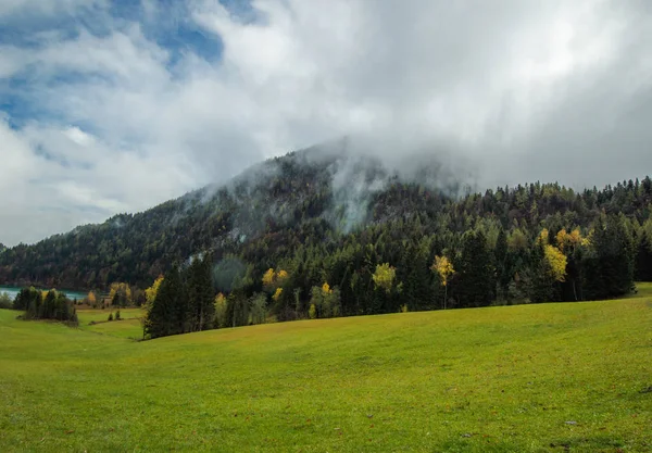 Widok Wzgórza Zielonej Trawie Przez Las Sosnowy — Zdjęcie stockowe