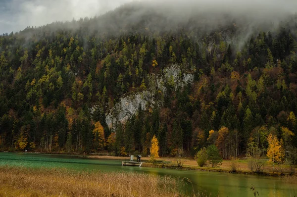 湖の上の丘が松の木で覆われて — ストック写真