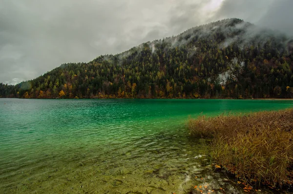 Blick Auf Den Mit Kiefern Bewachsenen Hügel Über Den See — Stockfoto