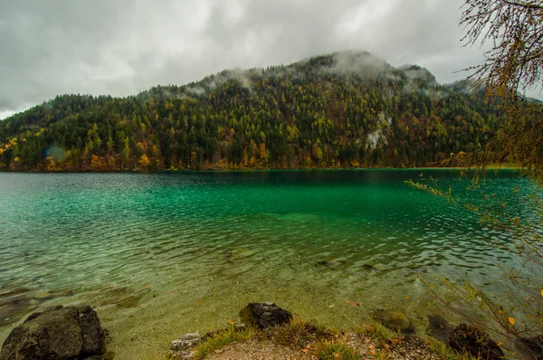 Pohled Kopci Pokryta Borovicemi Nad Jezerem — Stock fotografie
