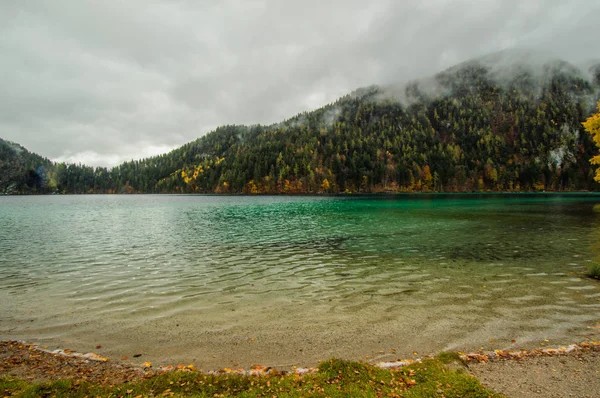 Blick Auf Den Mit Kiefern Bewachsenen Hügel Über Den See — Stockfoto