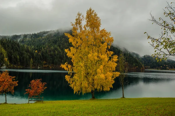 秋の木々 と山岳風景の湖の風光明媚なビュー — ストック写真