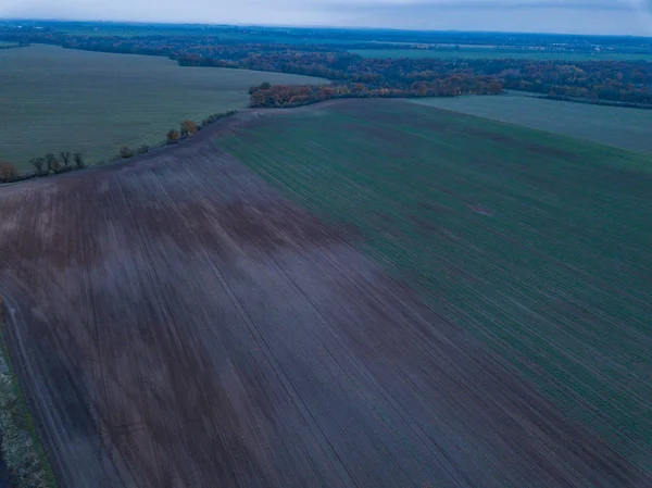 Vista Aérea Campo Agrícola Verde Desfocado — Fotografia de Stock