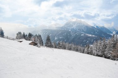 Snow hill buzlu çam ağaçları ve kayaların üzerinde arka plan ile kaplı