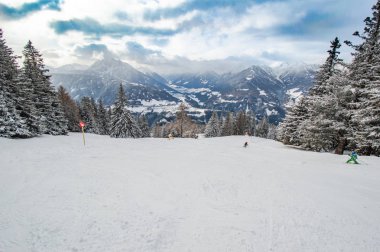 insanlar, çam ve dağları hareket ile kayak pisti