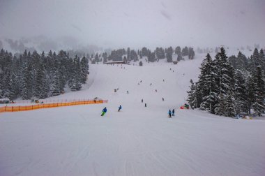 kayakçı buzlu çam ve bulutlu gökyüzü ile karlı tepe üzerinde