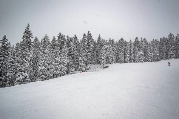Fenyő Síelő Snowcapped Hill Felhős Homályos — Stock Fotó