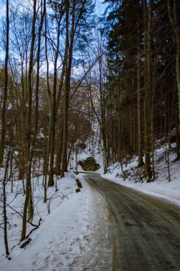 çıplak ağaçlar ile karlı hill tarafından kırsal yol görünümünü