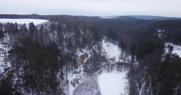 Flygbild Över Snöiga Bergiga Landskap Med Kala Träd — Stockvideo