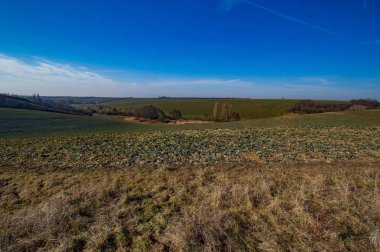 mavi gökyüzünün altında tarım alanlarının doğal görünümü