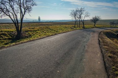 Yeşil alanlar ve çıplak ağaçları ile çevrili asfalt yol