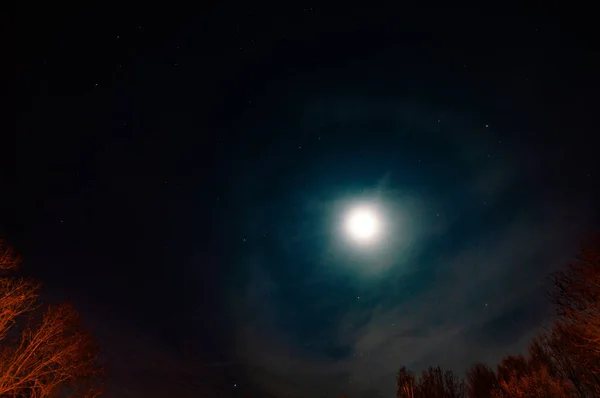 Malerischer Blick Auf Den Nachthimmel Beleuchtet Mit Mond — Stockfoto
