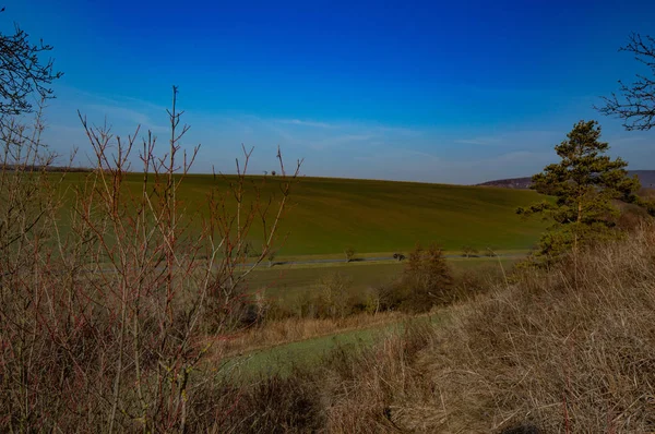 Landschaft Blick Auf Grüne Felder Mit Bäumen Und Sträuchern Sonnenlicht — Stockfoto