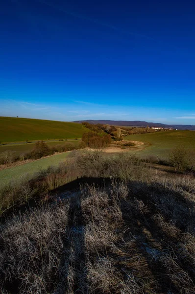 Landschaft Blick Auf Grüne Felder Mit Bäumen Und Sträuchern Sonnenlicht — Stockfoto