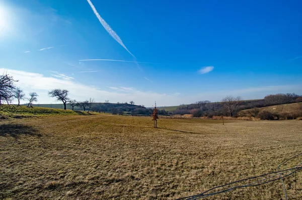 Scenic View Agricultural Fields Bare Trees Blue Sky — Stock Photo, Image