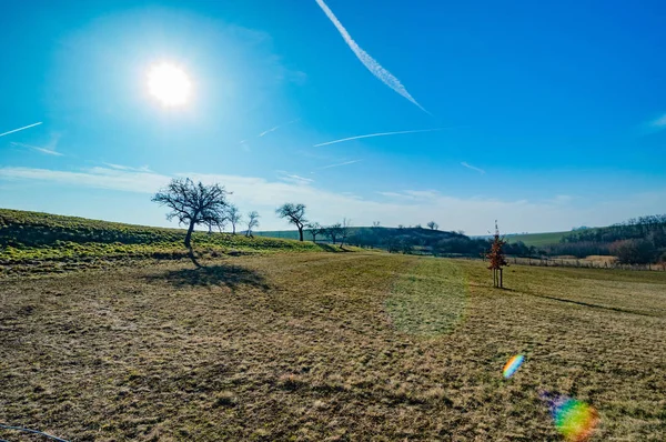 Scenic View Agricultural Fields Bare Trees Blue Sky — Stock Photo, Image