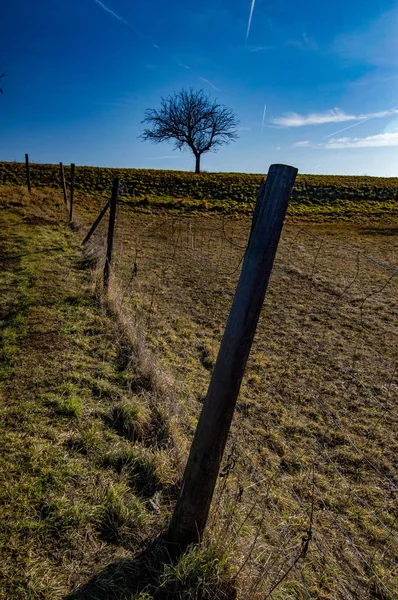 在蓝天的农田的栅栏的看法 — 图库照片