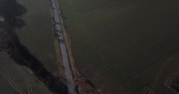 Luchtfoto Van Weg Langs Groene Velden — Stockvideo