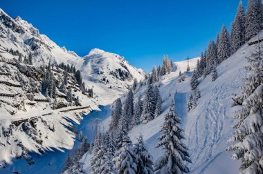 mavi gökyüzü altında karla kaplı çam ve dağların manzara görünümü