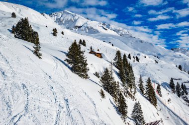 parlak güneş ışığı altında çam ağaçları ile karlı tepelerin doğal görünümü