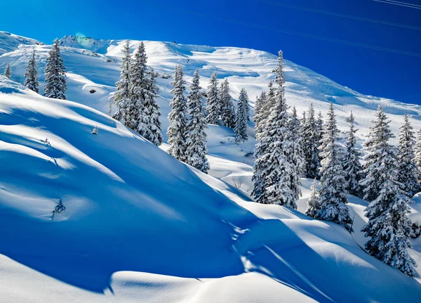 Malerischer Blick Auf Schneebedeckte Hügel Mit Tannen Hellen Sonnenlicht — Stockfoto