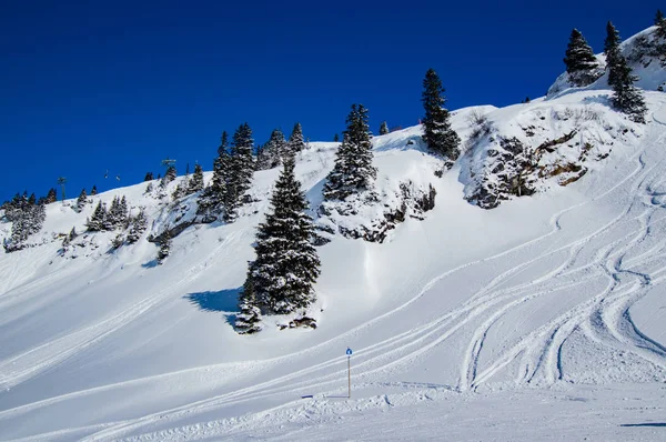 Besneeuwde Heuvel Met Ski Tracks Pijnbomen Zonlicht — Stockfoto