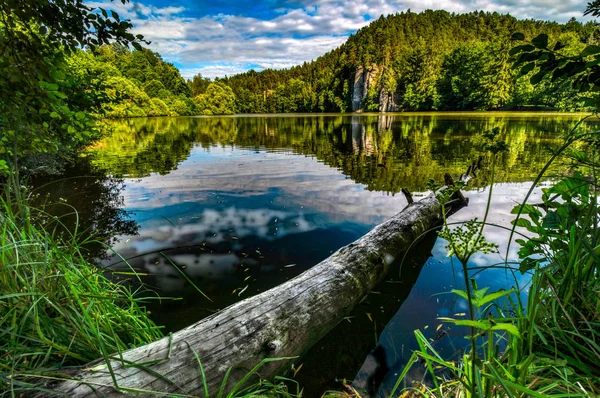 Rybníček Vezak Českém Ráji — Stock fotografie