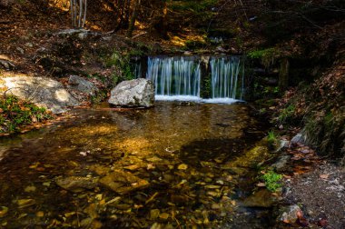parlak güneş ışığı altında akan şelale görünümü