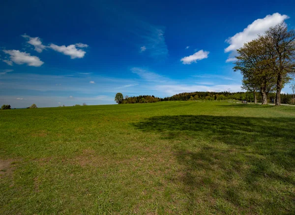 Sunny Green Lawn Distant Forest Blue Sky — Stock Photo, Image